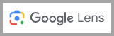 Google Lens Icon